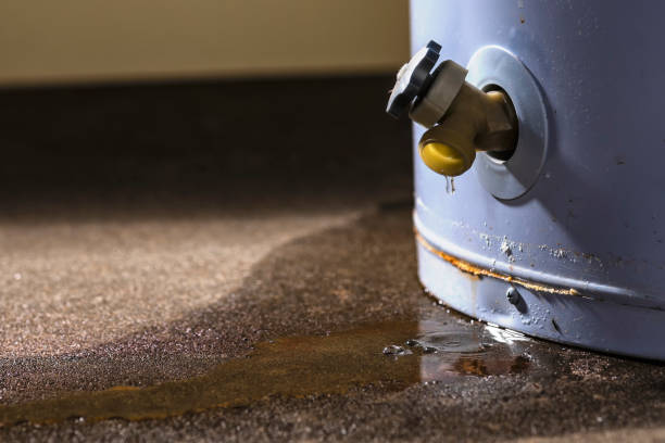  Farmersburg, IN Water damage restoration Pros