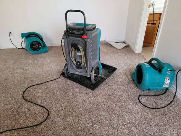 Best Water damage restoration specialists  in Farmersburg, IN