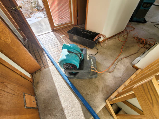 Trusted Farmersburg, IN Water damage restoration Experts