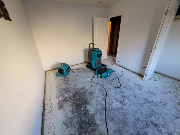 Best Basement water damage restoration  in Farmersburg, IN