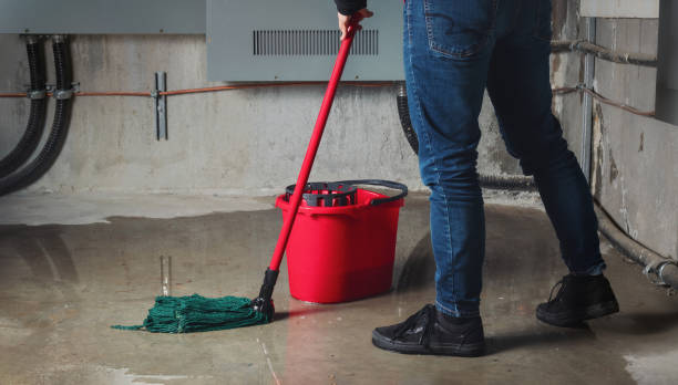 Best Water damage restoration mold remediation  in Farmersburg, IN