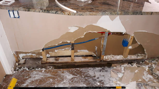 Best Water damage restoration near me  in Farmersburg, IN