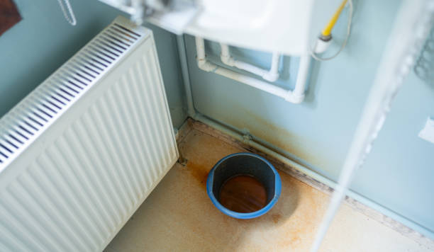 Best Local water damage restoration  in Farmersburg, IN