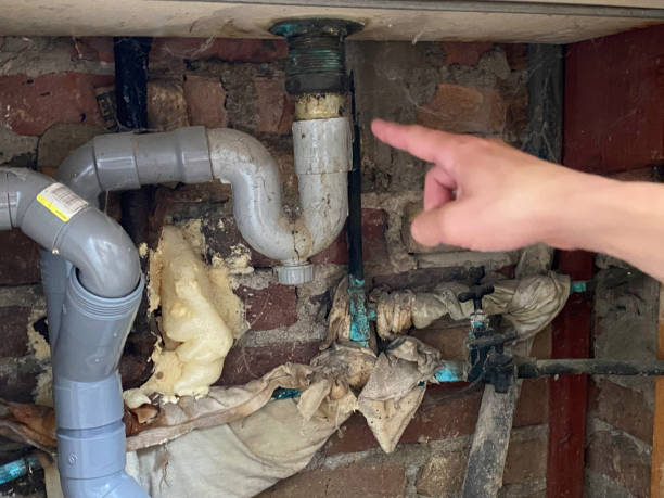 Best Water damage cleanup near me  in Farmersburg, IN
