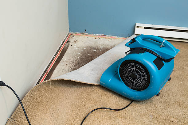 Best Commercial water damage restoration  in Farmersburg, IN